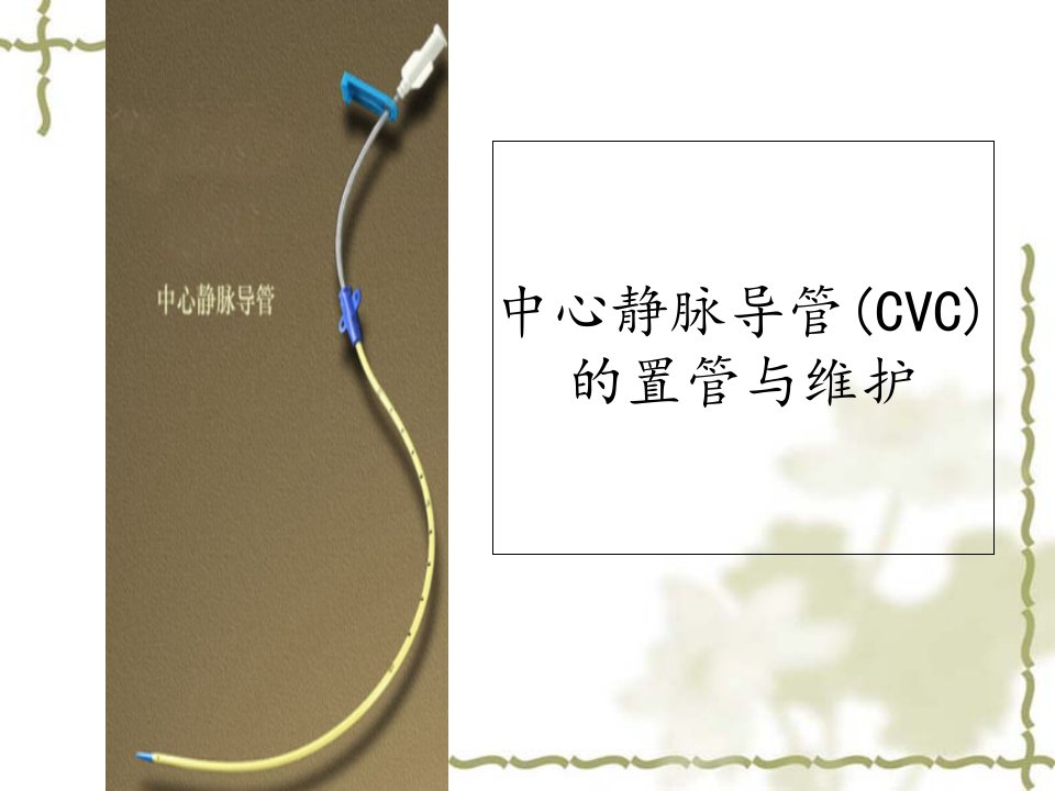 中心静脉导管(CVC)的置管与维护课件