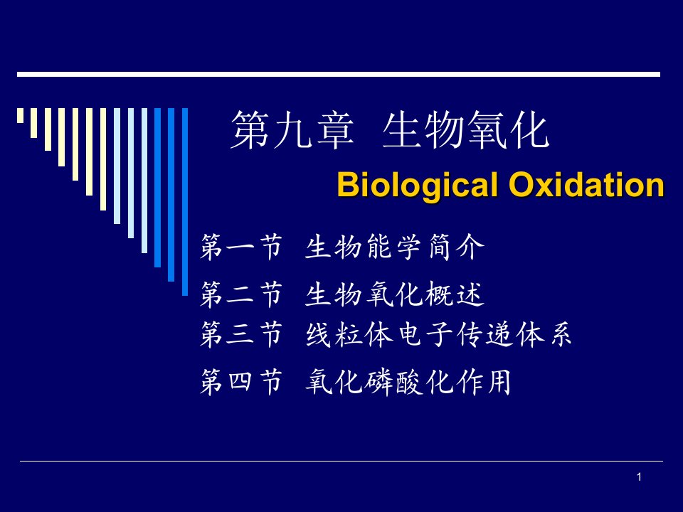 生物化学合工大第九章生物氧化