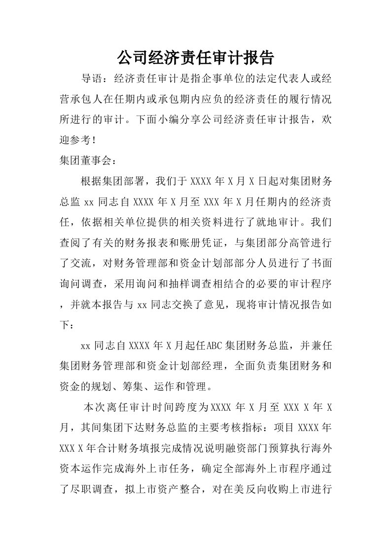 公司经济责任审计报告.doc