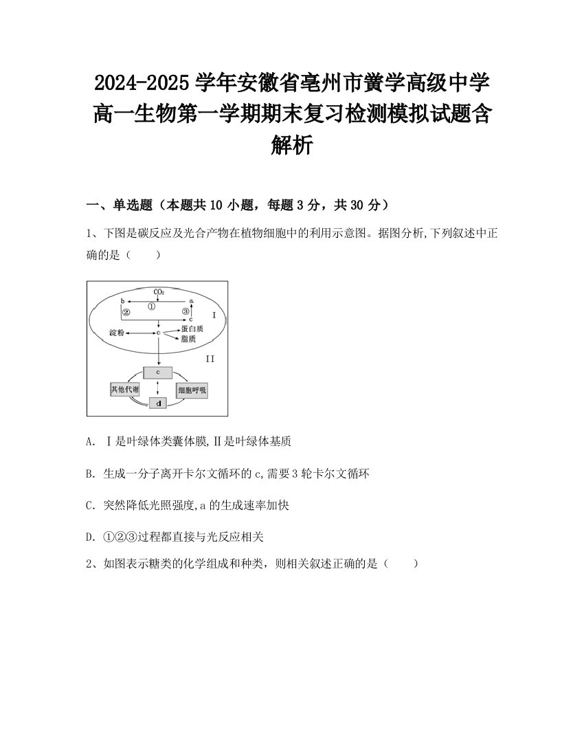 2024-2025学年安徽省亳州市黉学高级中学高一生物第一学期期末复习检测模拟试题含解析