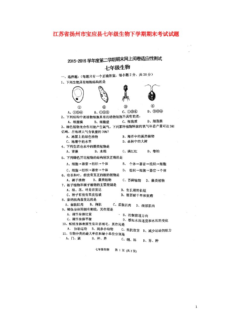 江苏省扬州市宝应县七级生物下学期期末考试试题（扫描版，无答案）