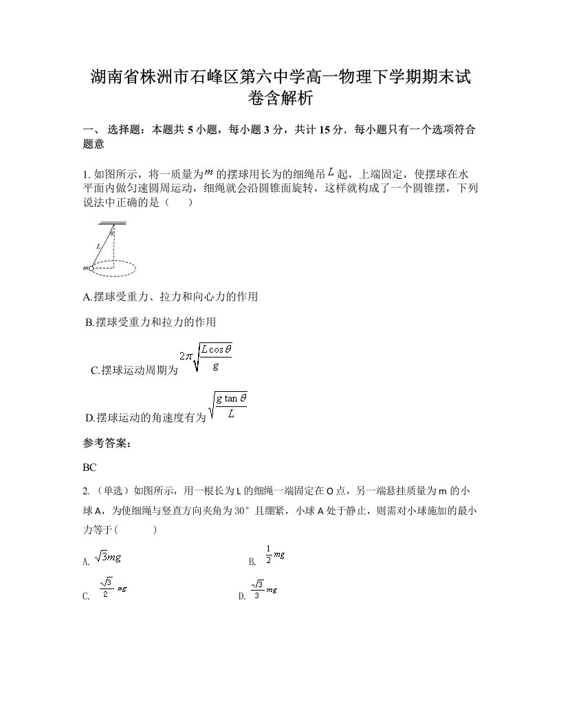 湖南省株洲市石峰区第六中学高一物理下学期期末试卷含解析