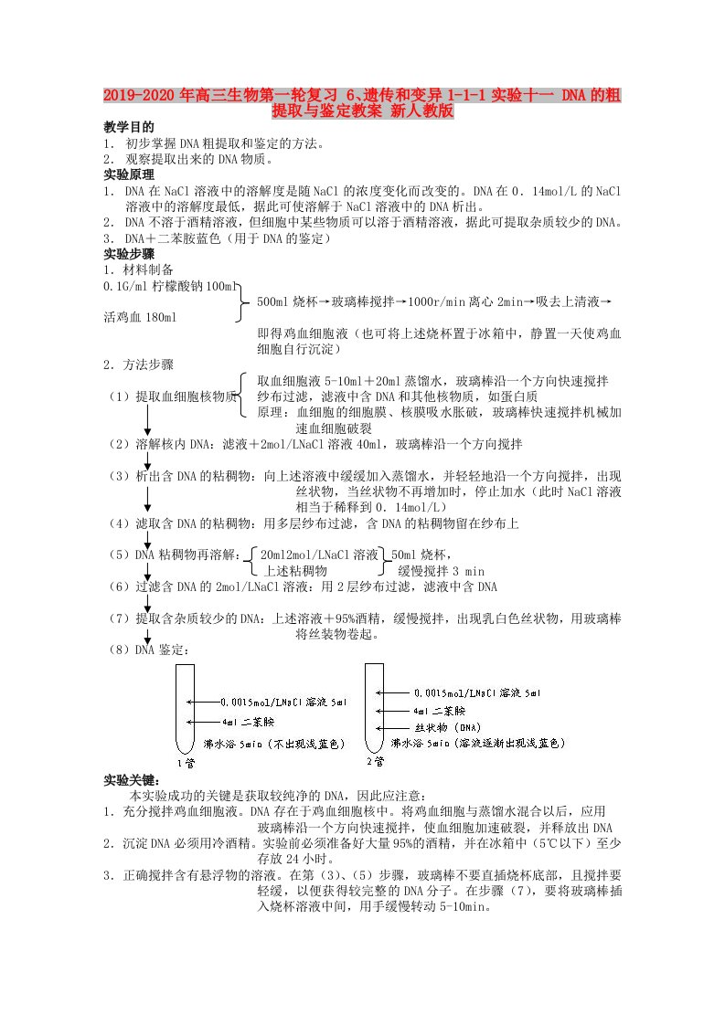 2019-2020年高三生物第一轮复习