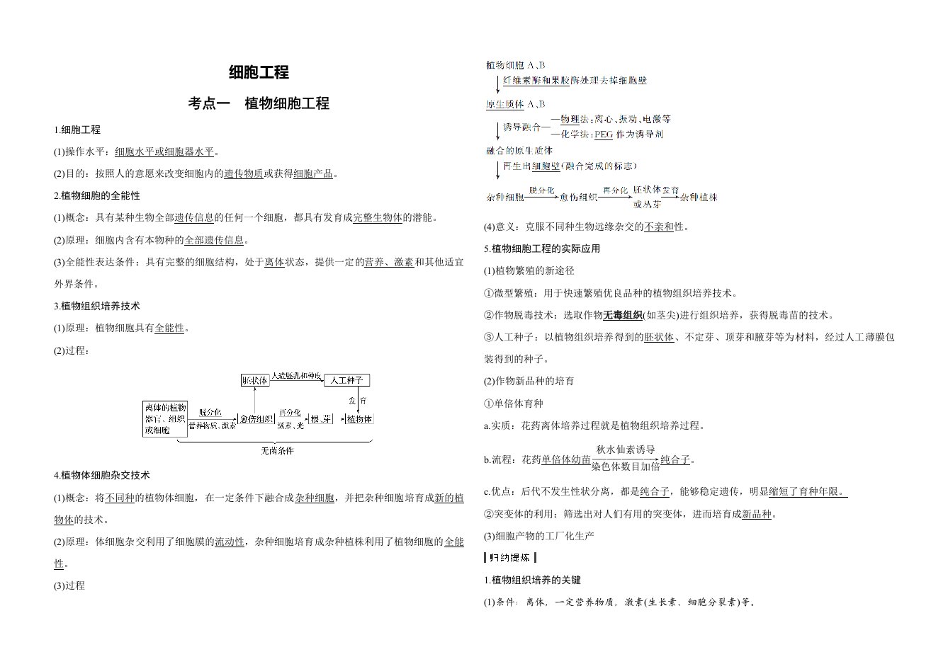 高中生物选修3细胞工程知识点