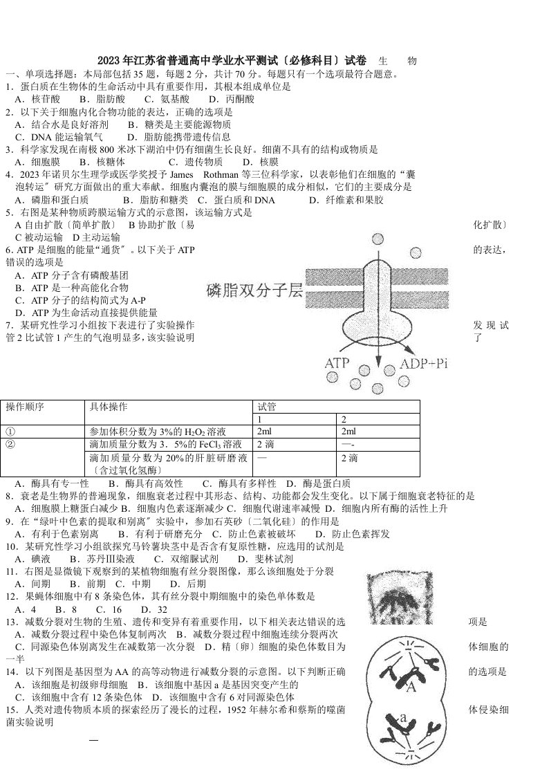 2023-江苏小高考生物试卷及答案