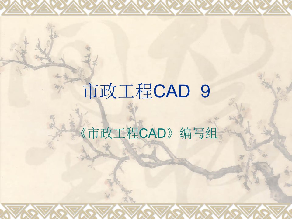 市政工程CAD