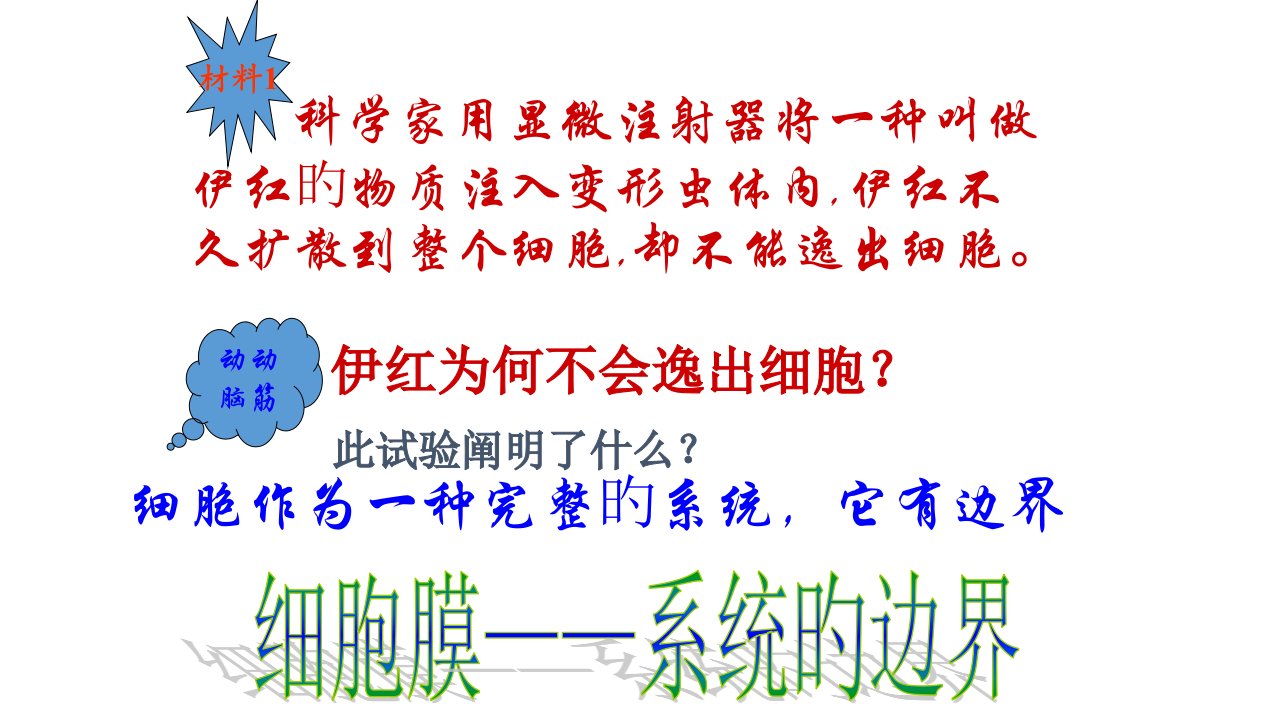 一轮复习生物细胞膜和细胞核公开课获奖课件百校联赛一等奖课件