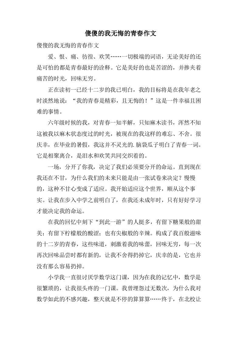 傻傻的我无悔的青春作文