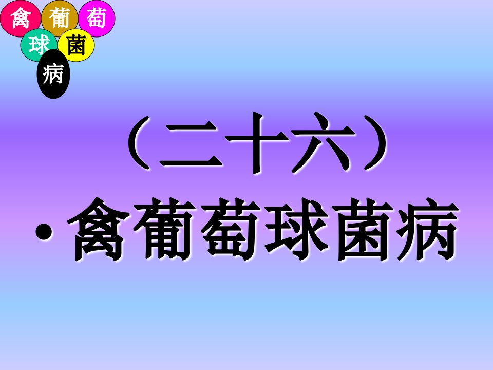 畜牧兽医26禽葡萄球菌病课件