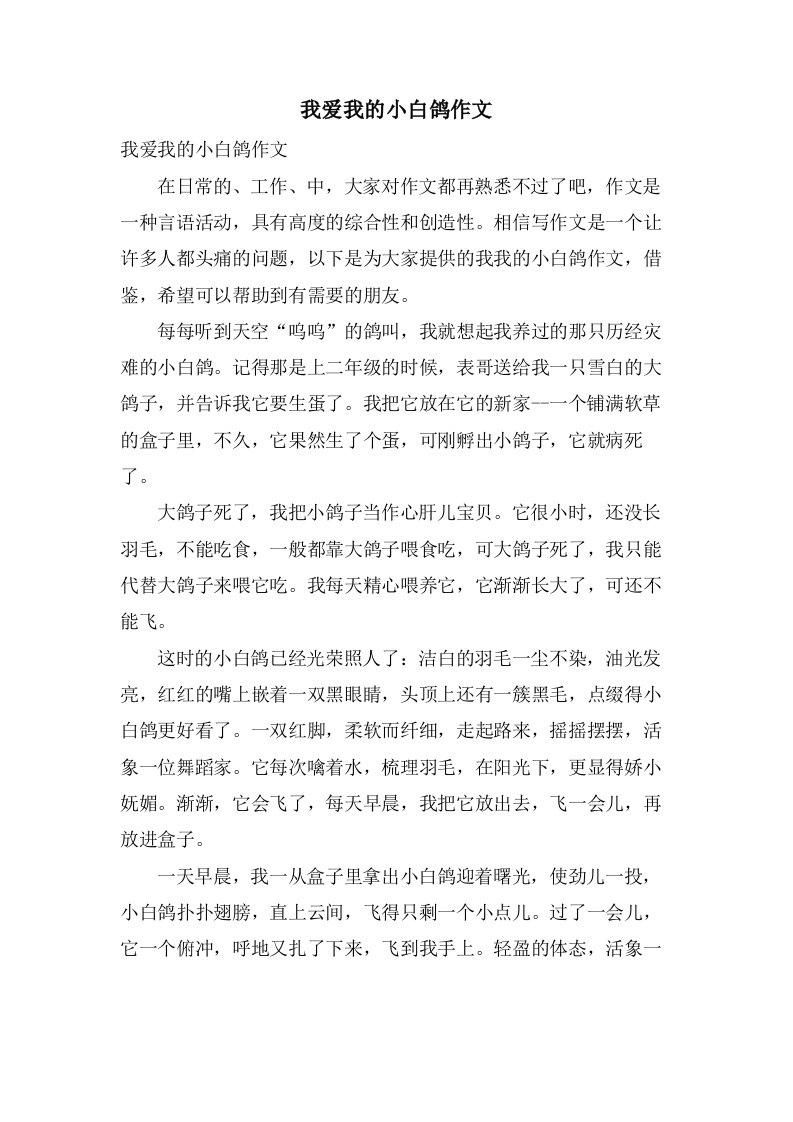 我爱我的小白鸽作文