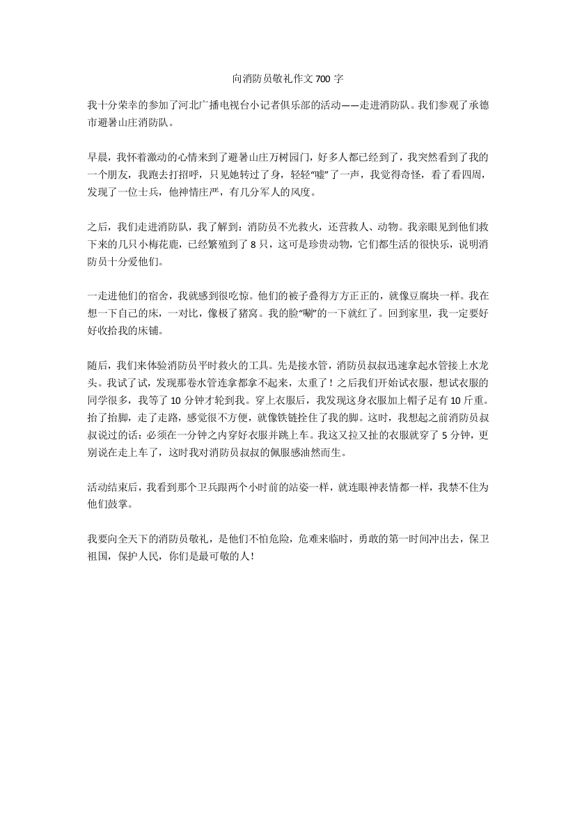 向消防员敬礼作文700字