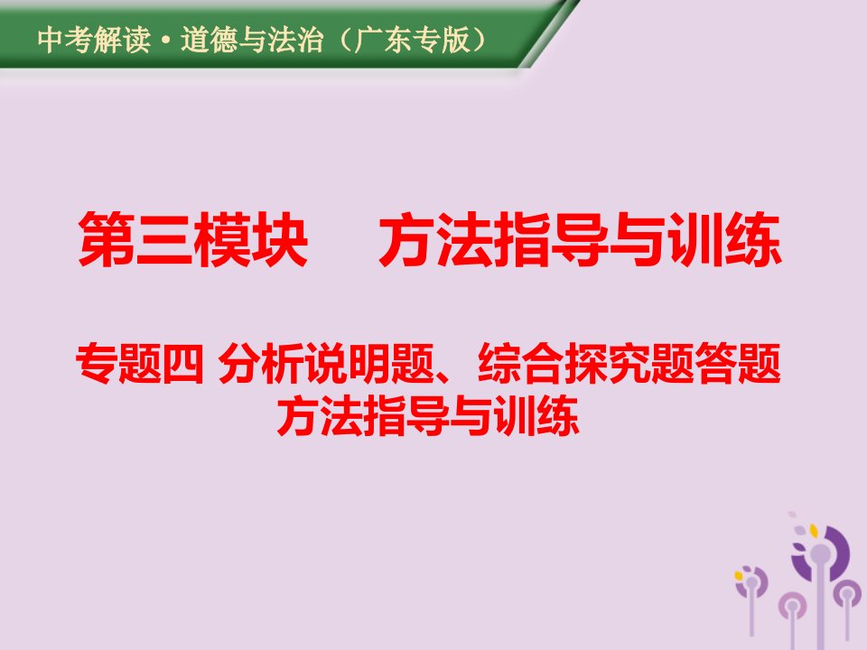 广东2019年中考道德与法治解读复习分析说明题、综合探究题答题方法指导与训练课件