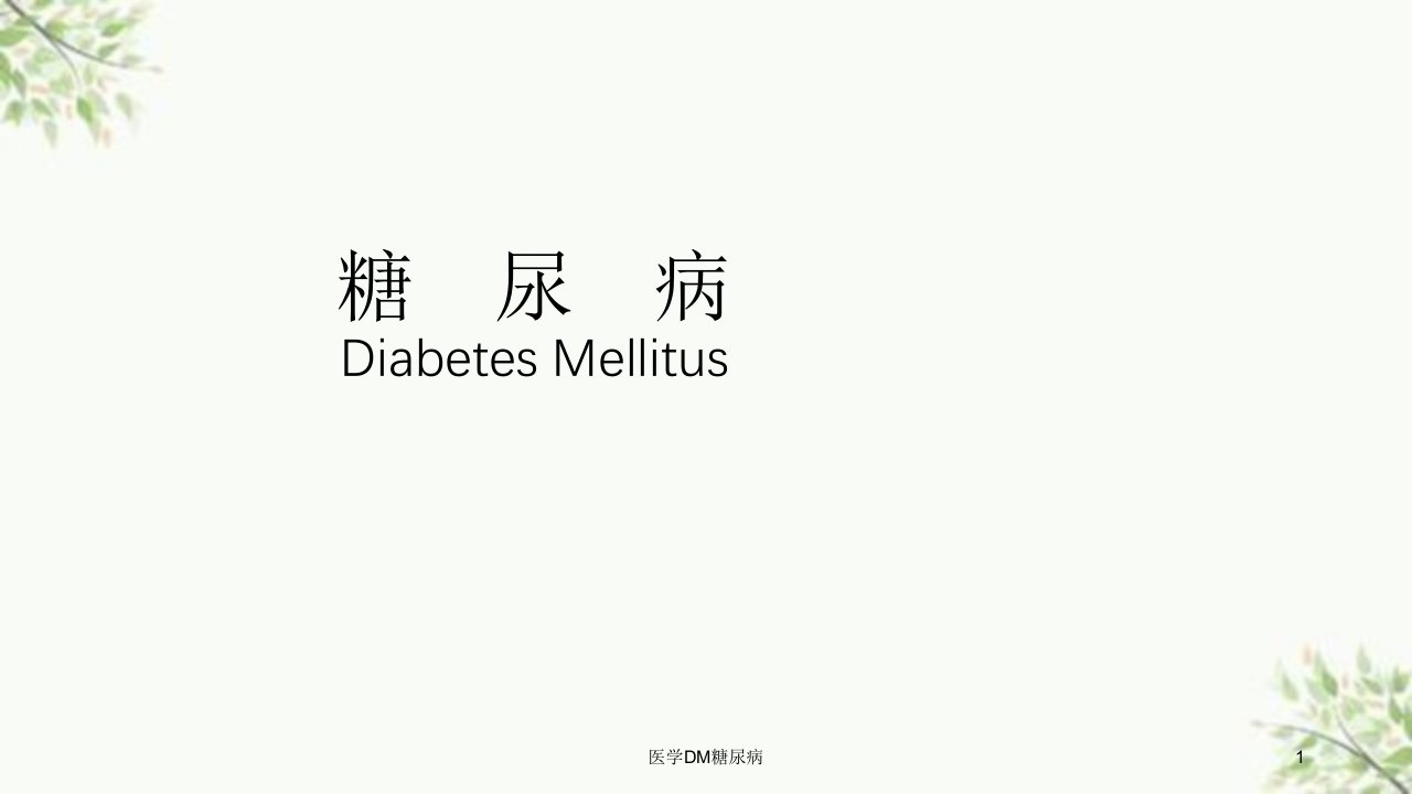 医学DM糖尿病课件