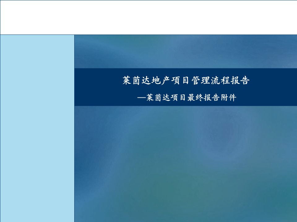 莱茵达集团地产项目管理流程报告