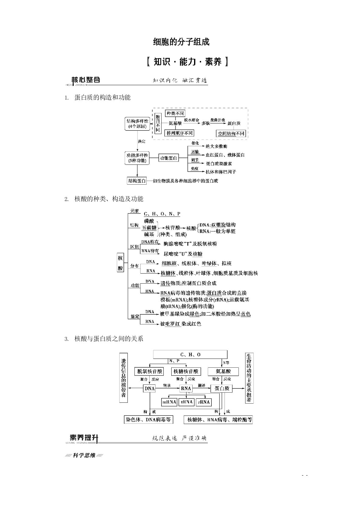 2023年届二轮复习细胞的分子组成、结构、功能和物质运输考点1细胞的分子组成教案