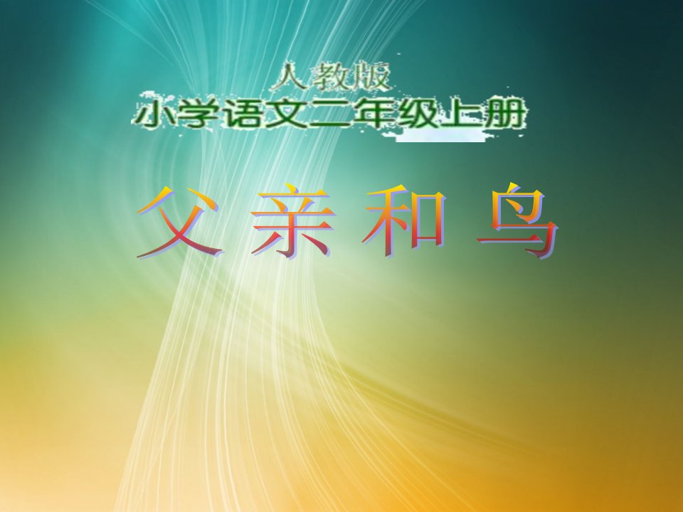 小学二年级语文上册教学29父亲和鸟课件三