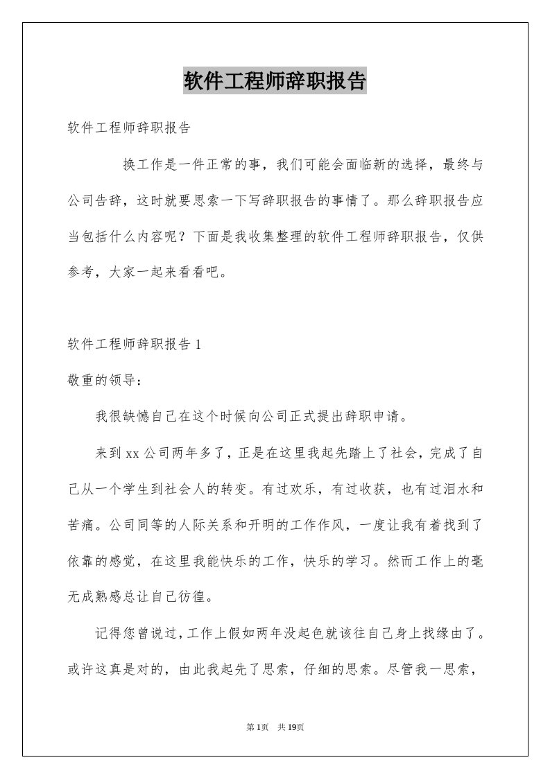 软件工程师辞职报告例文8