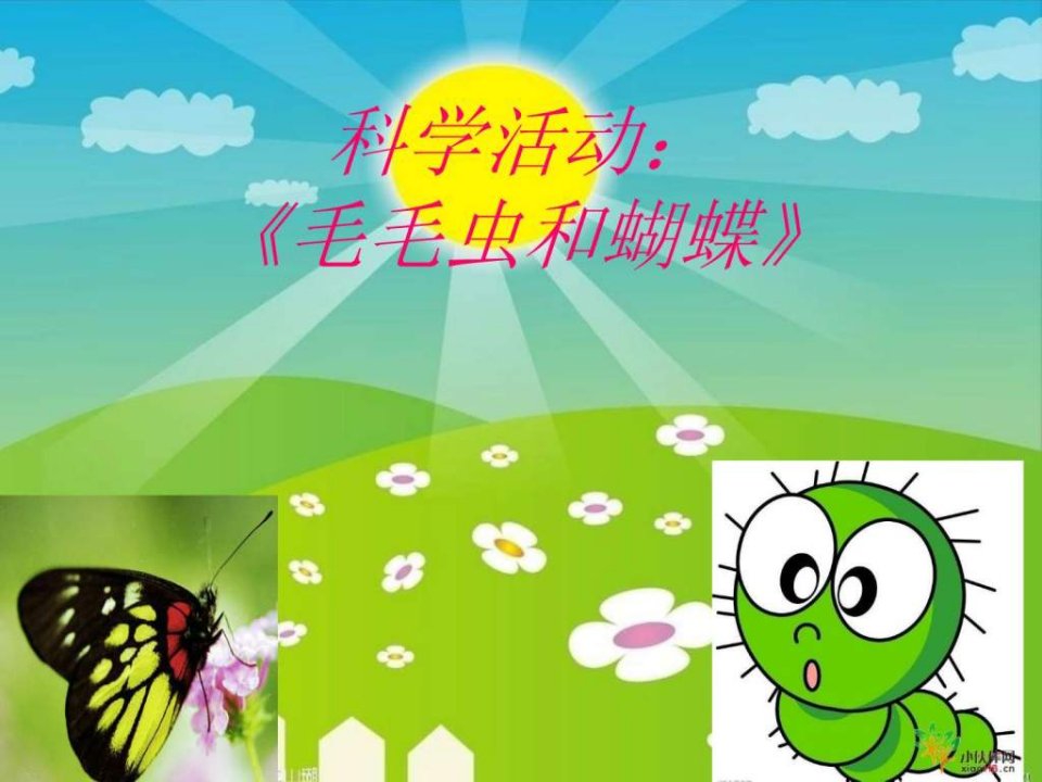 中班科学活动毛毛虫和蝴蝶.ppt