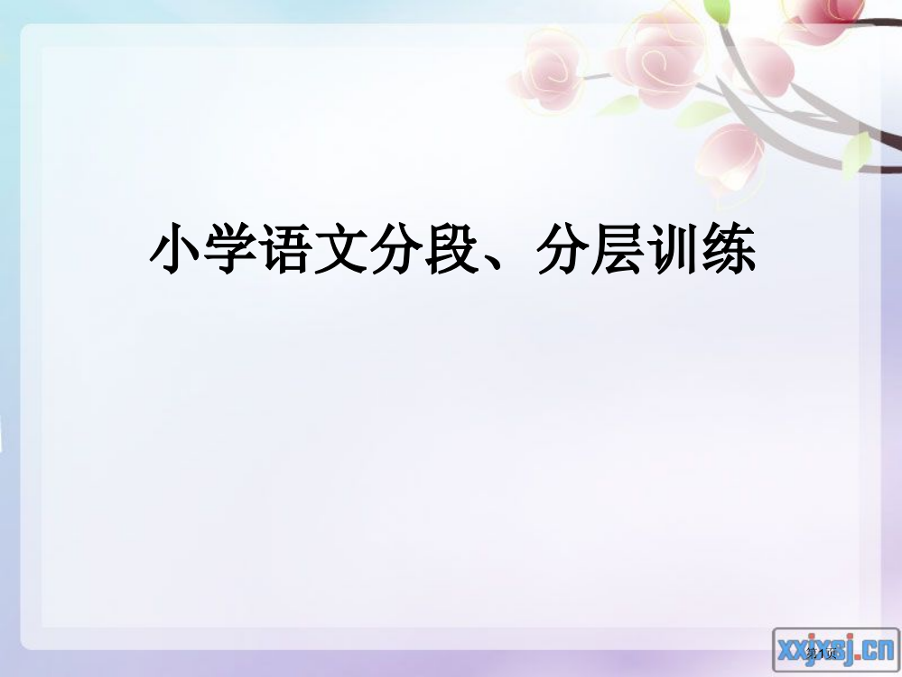 小学语文分段、分层训练市公开课一等奖省赛课获奖PPT课件