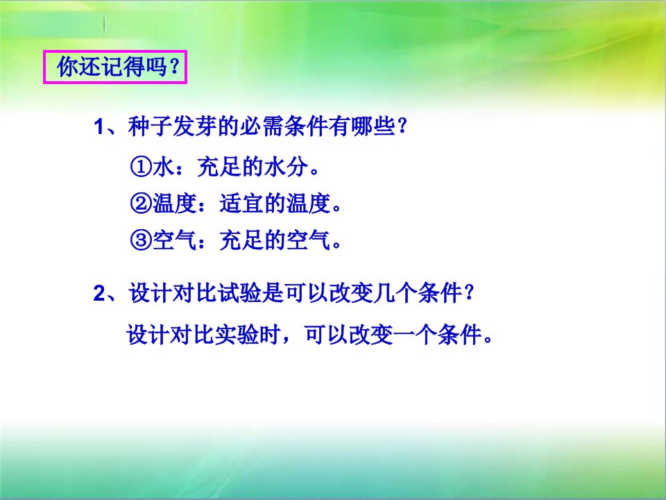 教科版科学五年级上册3.观察绿豆芽的生长ppt课件