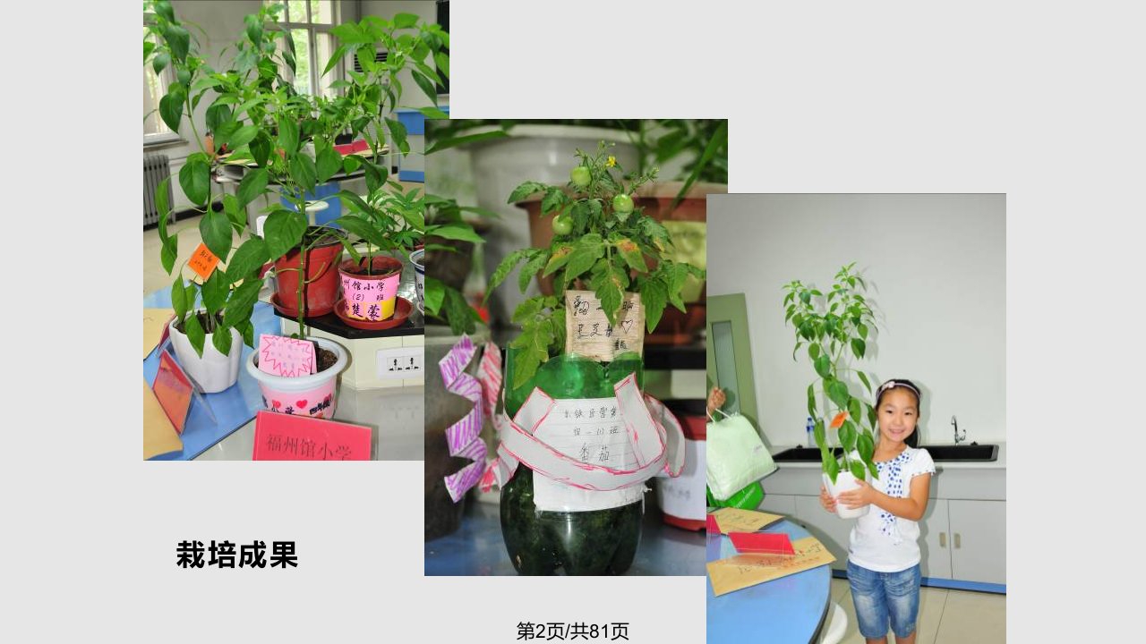 植物栽培学生培训