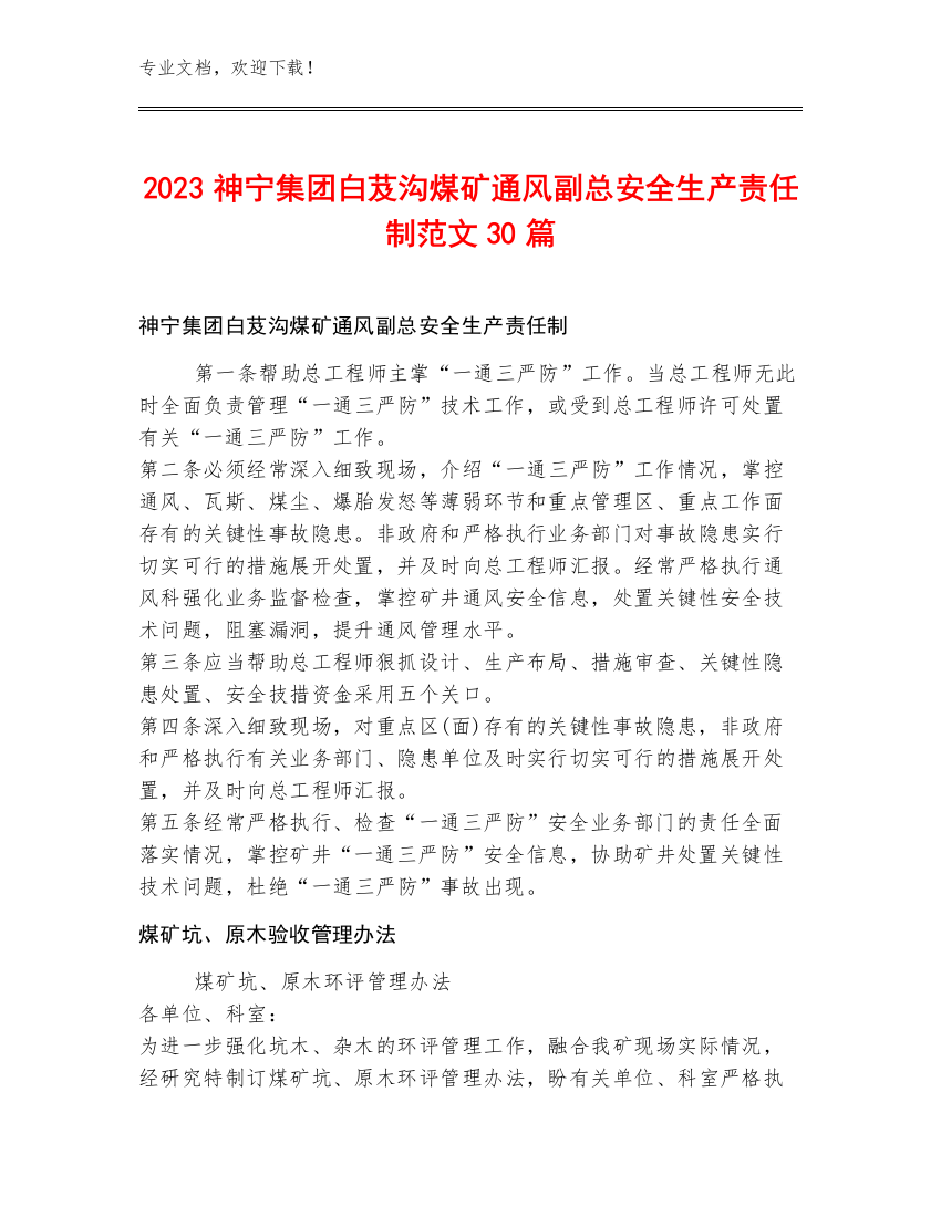 2023神宁集团白芨沟煤矿通风副总安全生产责任制范文30篇