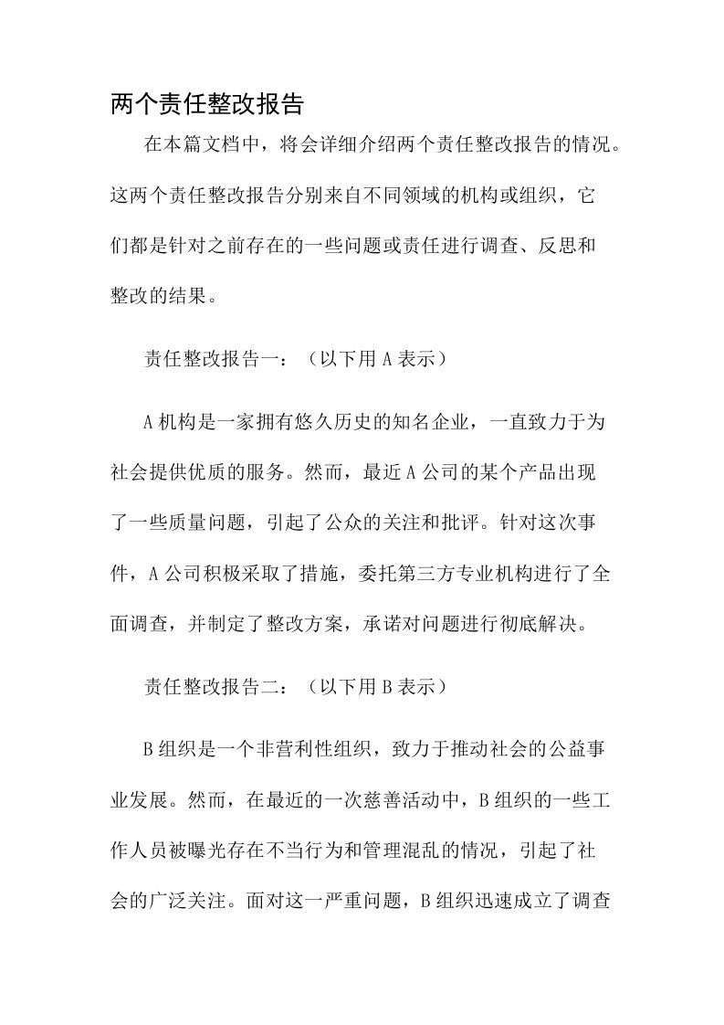 两个责任整改报告