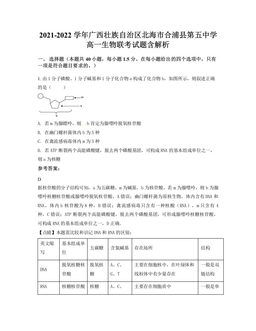 2021-2022学年广西壮族自治区北海市合浦县第五中学高一生物联考试题含解析