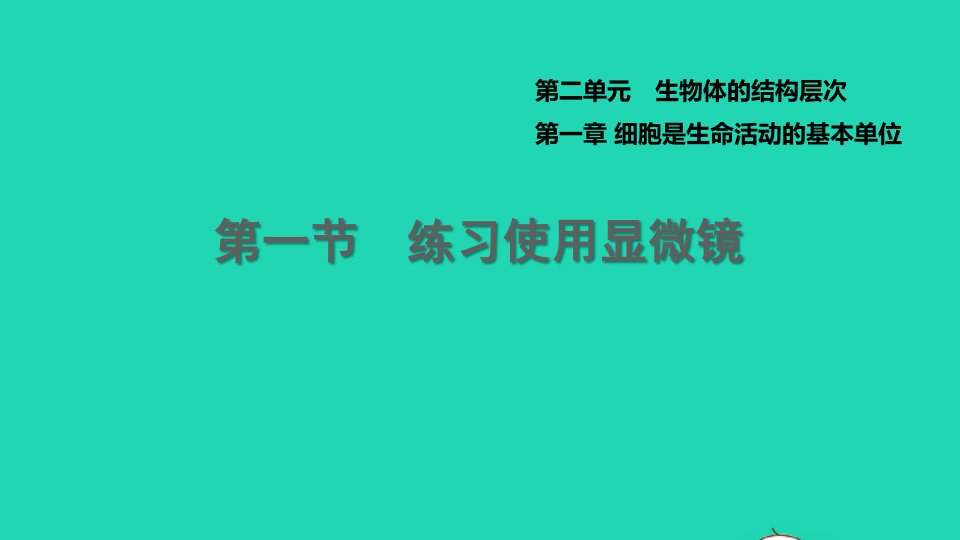 2021七年级生物上册第二单元生物体的结构层次第一章细胞是生命活动的基本单位第1节练习使用显微镜习题课件新版新人教版