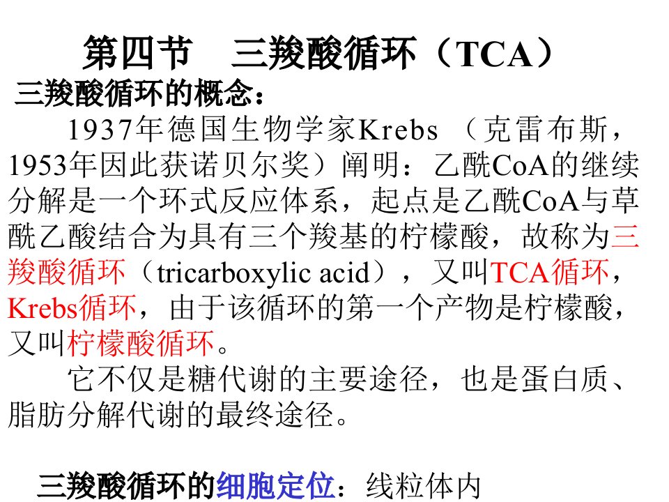 三羧酸循环(TCA)