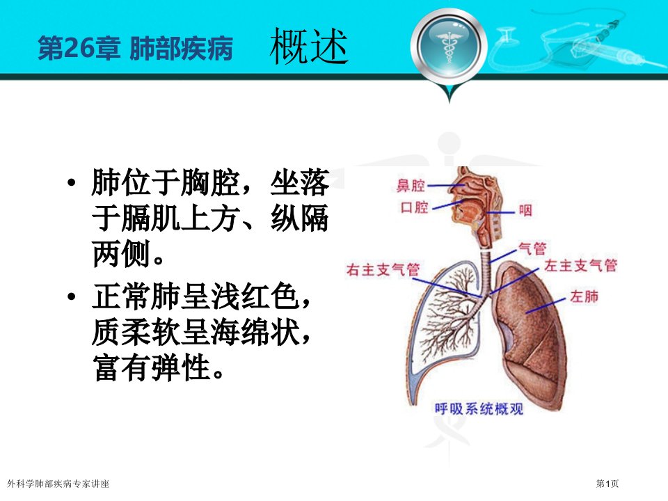 外科学肺部疾病课件PPT