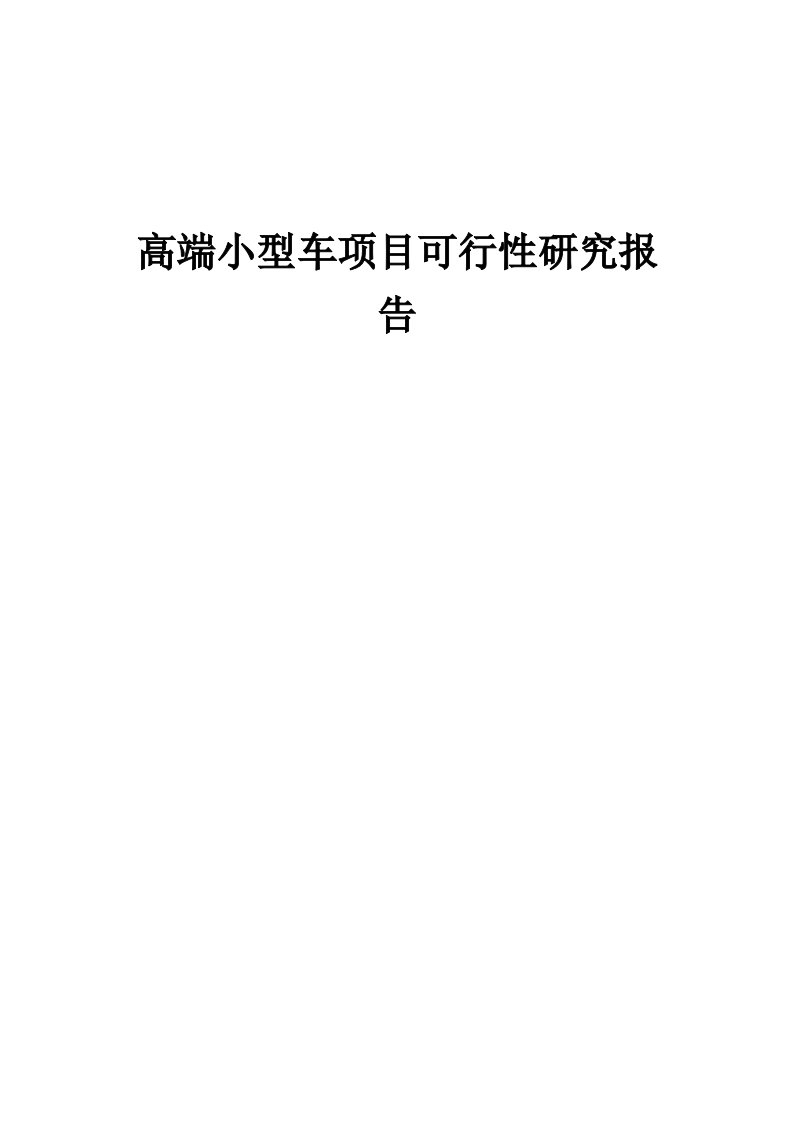 高端小型车项目可行性研究报告