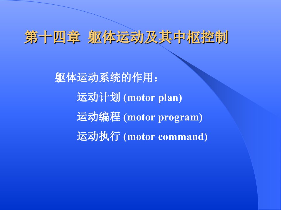 神经生物学第四篇运动系统