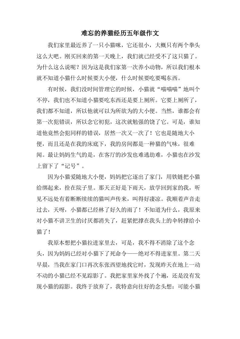 难忘的养猫经历五年级作文