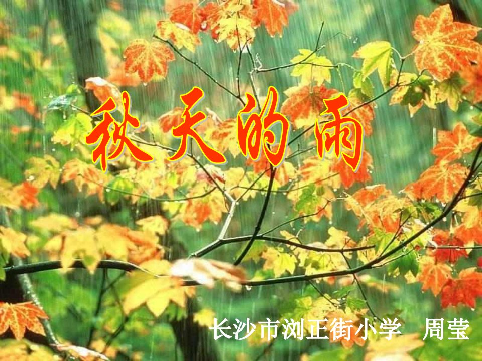 11秋天的雨