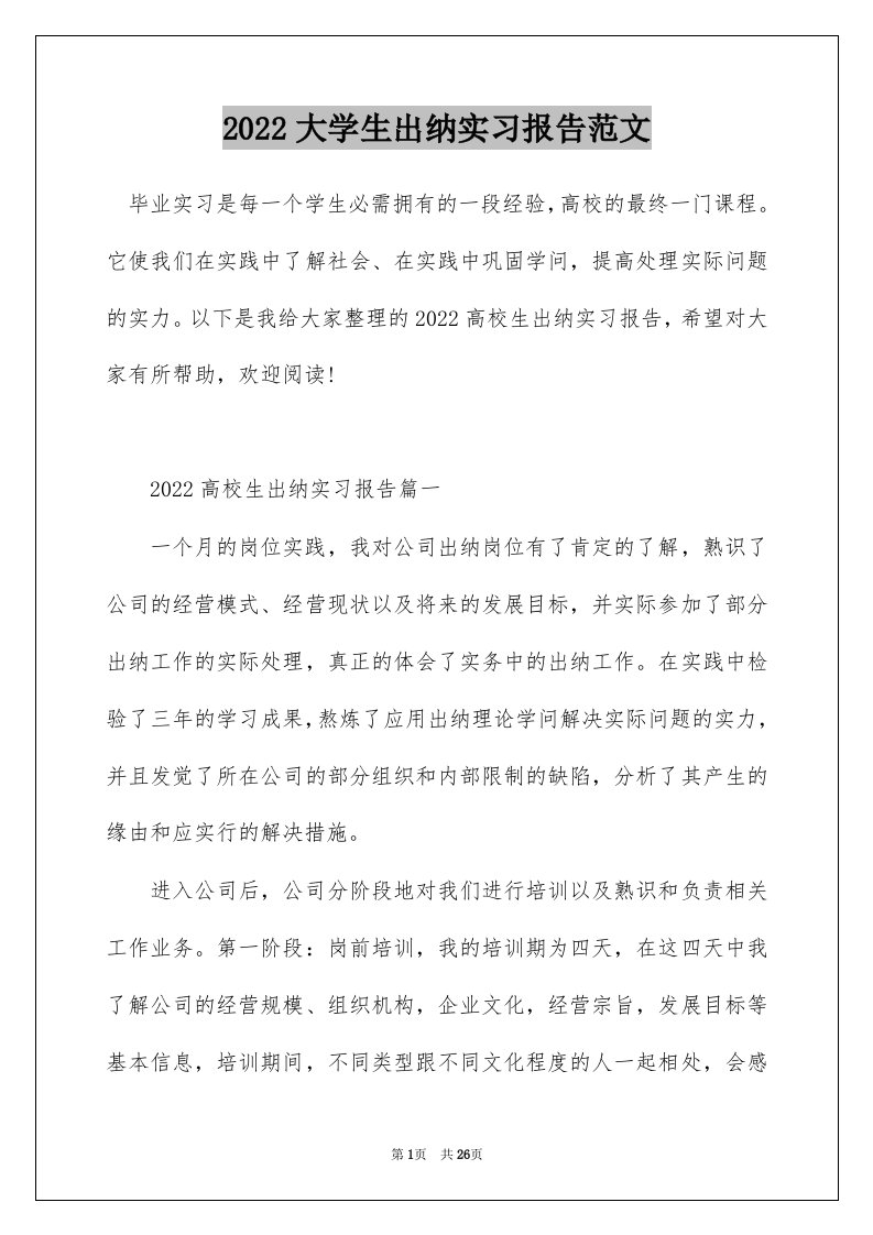 2022大学生出纳实习报告范文