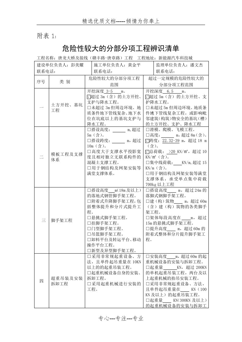 危大工程专家论证表(共6页)