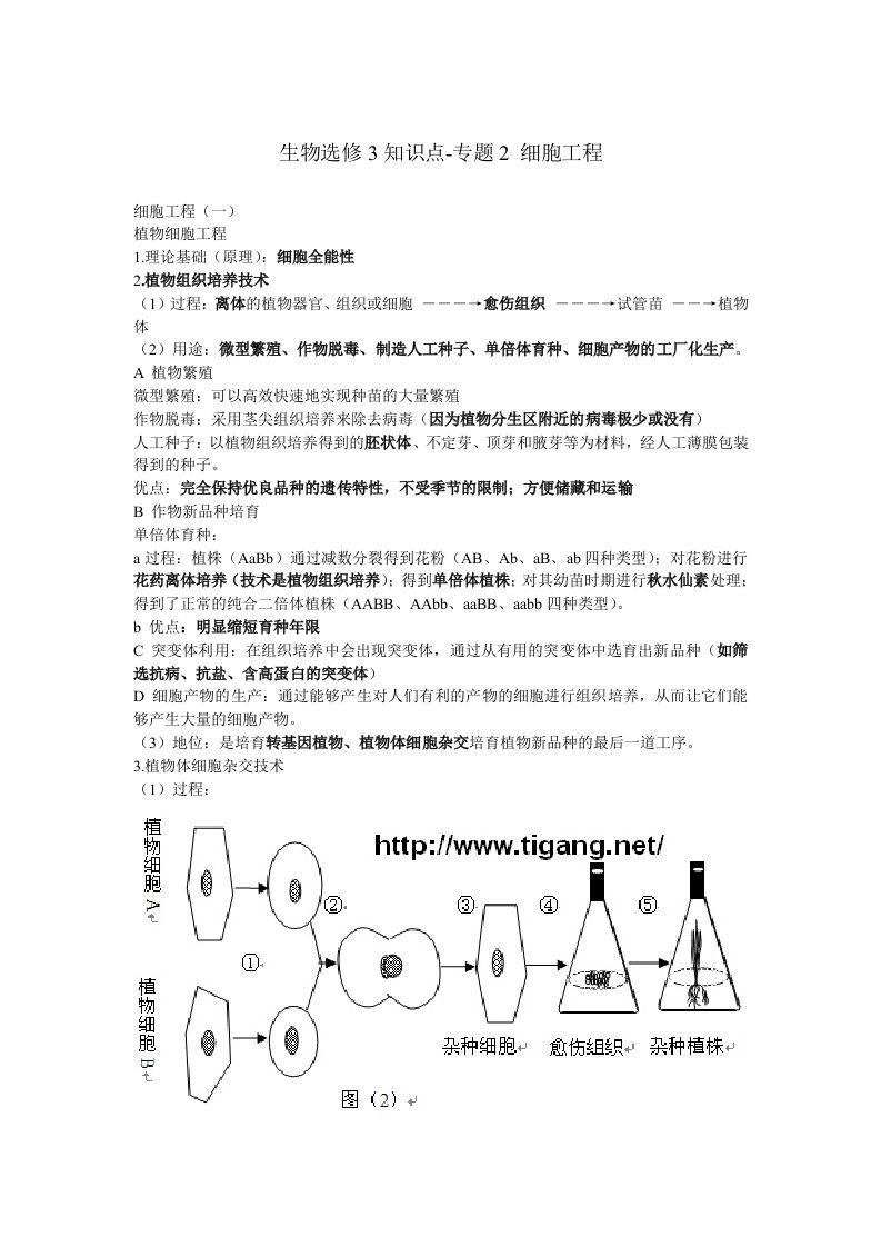 生物选修3知识点细胞工程