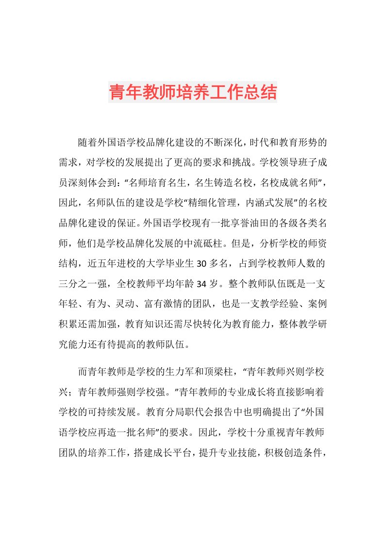 青年教师培养工作总结