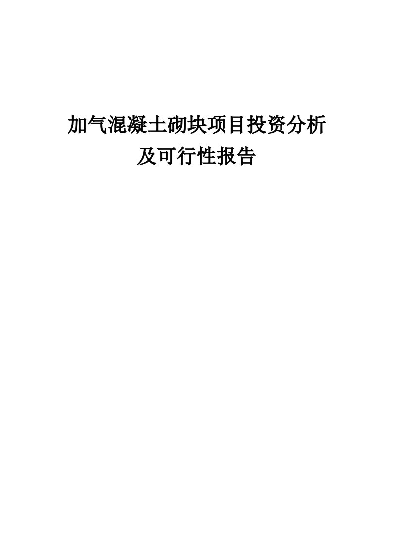 2024年加气混凝土砌块项目投资分析及可行性报告