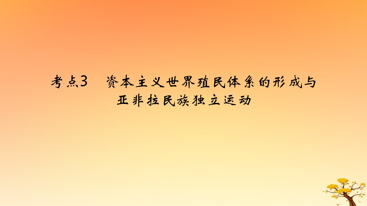 2025版高考历史一轮复习新题精练专题十工业革命与马克思主义的诞生及世界殖民体系的形成考点3资本主义世界殖民体系的形成与亚非拉民族独立运动能力提升课件