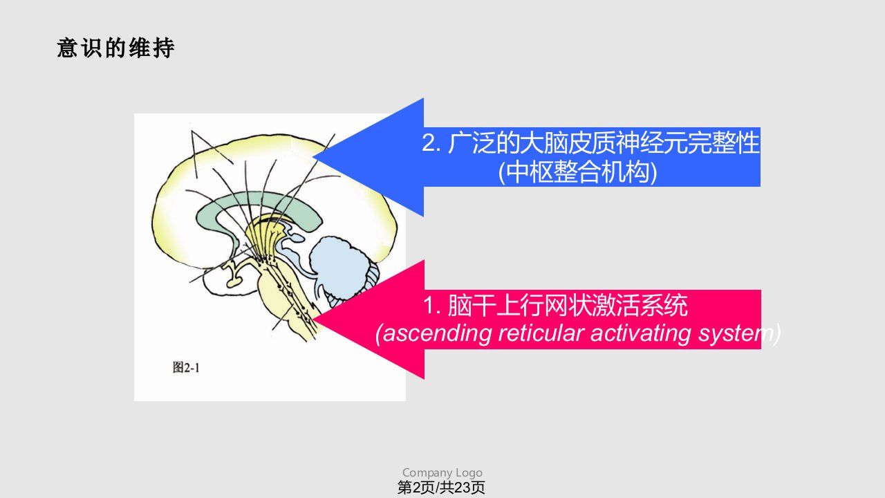 昏迷病人护理查房