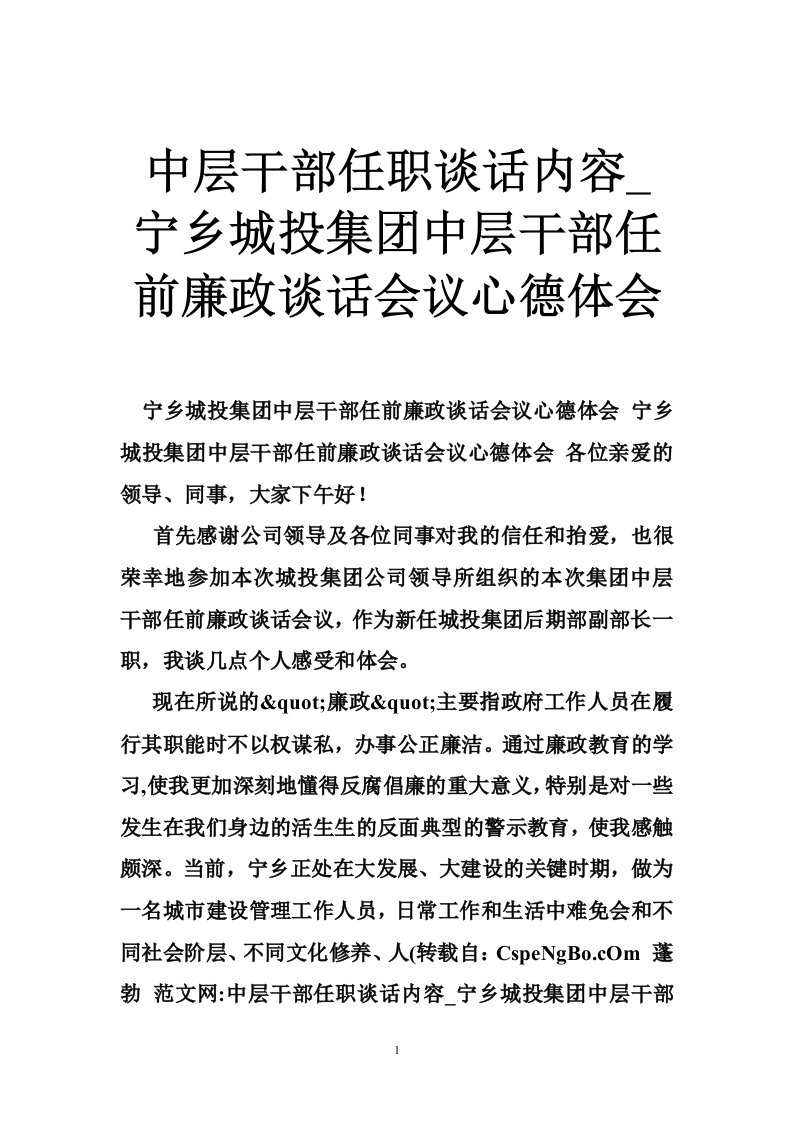 中层干部任职谈话内容宁乡城投集团中层干部任前廉政谈话会议心德体会