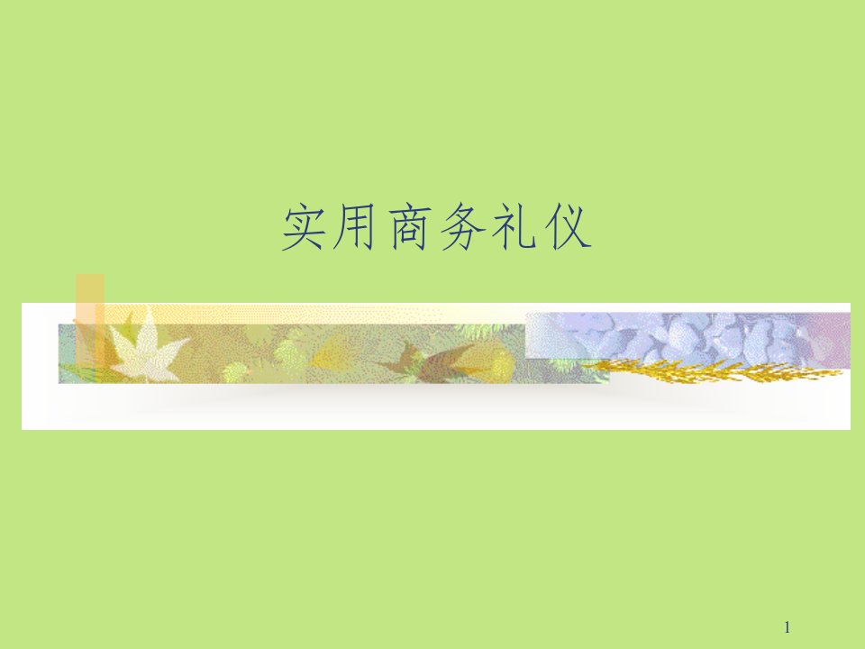 《实用商务礼仪培训》PPT课件