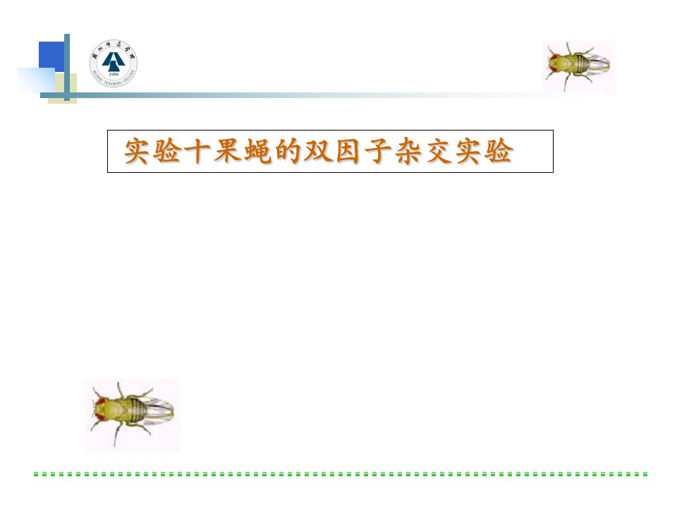 实验十果蝇的双因子杂交实验