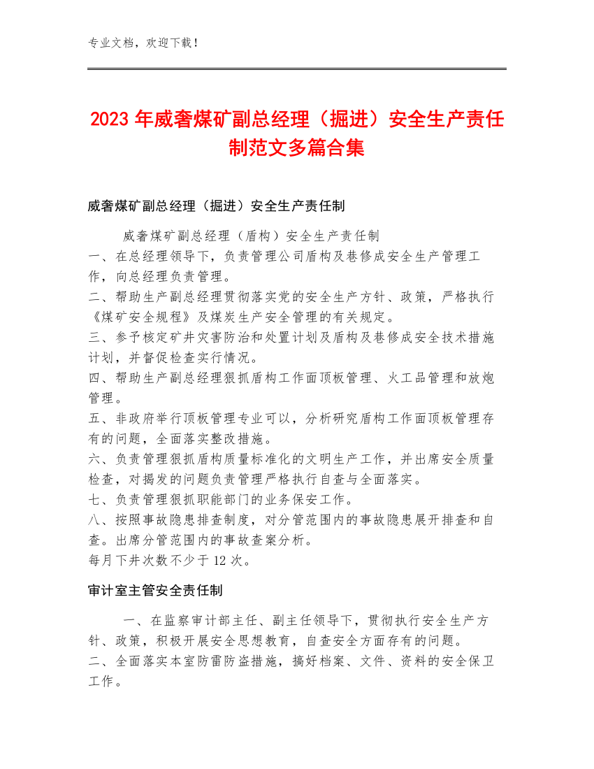 2023年威奢煤矿副总经理（掘进）安全生产责任制范文多篇合集