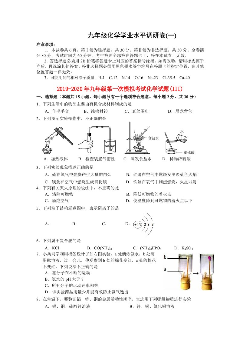 2019-2020年九年级第一次模拟考试化学试题(III)