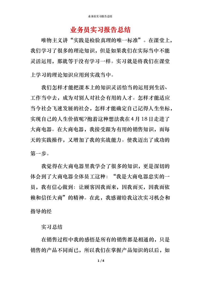 精编业务员实习报告总结