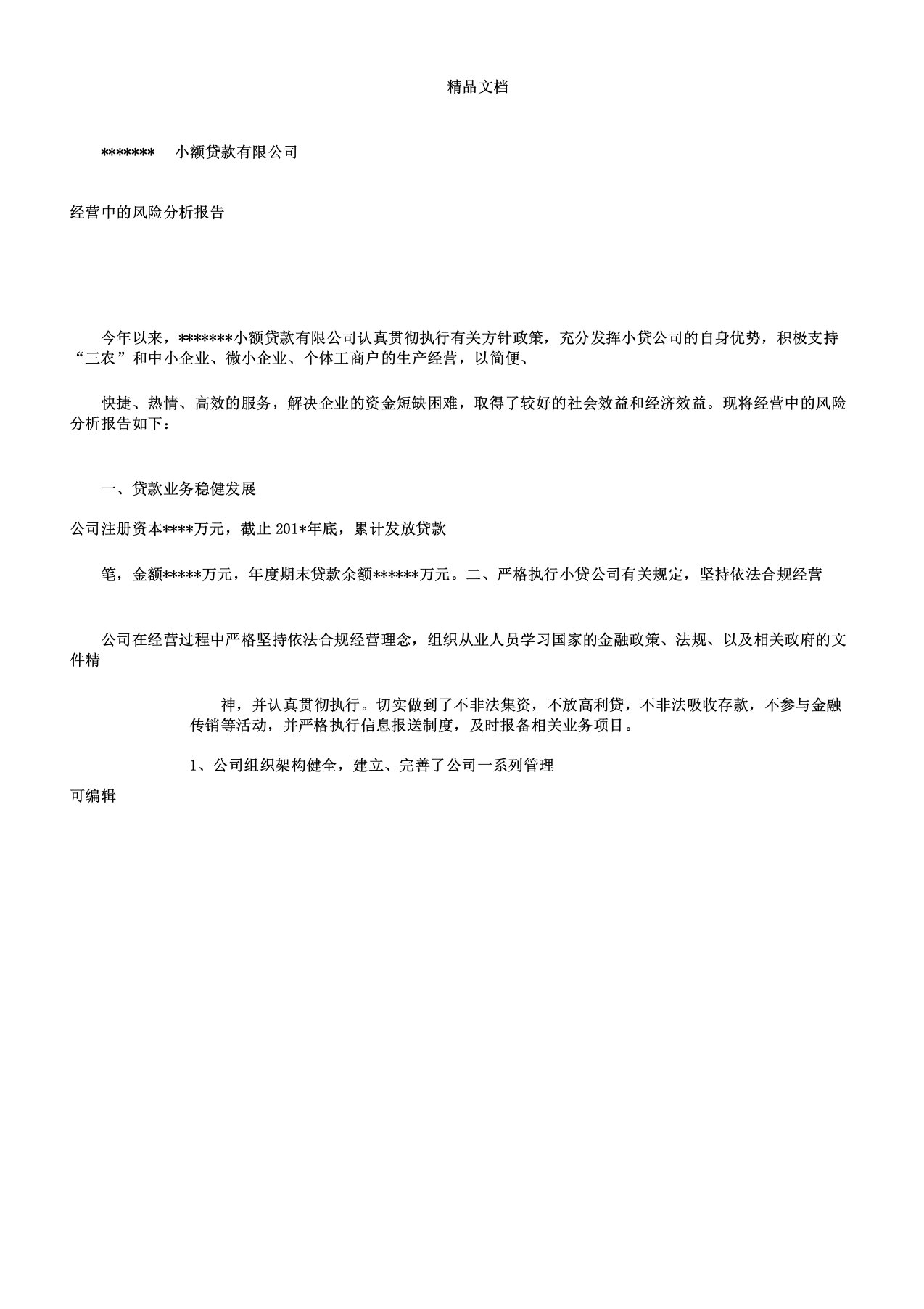 小贷公司经营中风险解析总结报告