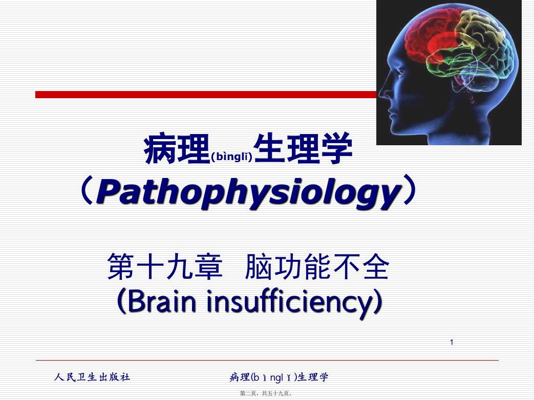 医学专题脑功能不全